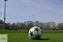 Bayer-04-Leverkusen-FFC-Frankfurt-1-von-19