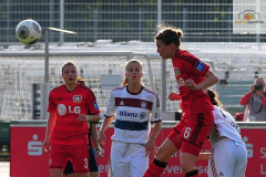 DSC_3397_mini