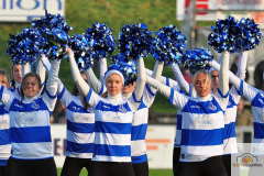 DSC_9681_mini