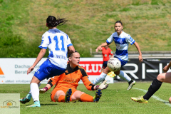 MSV-Duisburg-Herforder-SV-25-von-22_mini