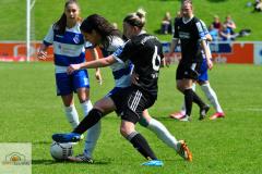 MSV-Duisburg-Herforder-SV-51-von-27_mini