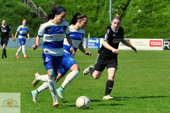MSV-Duisburg-Herforder-SV-58-von-27_mini