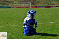 MSV-Duisburg-Herforder-SV-69-von-27_mini
