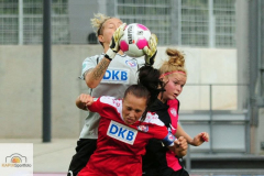 DSC_0928_mini