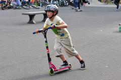 DSC_2816_mini
