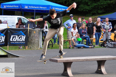 DSC_2894_mini