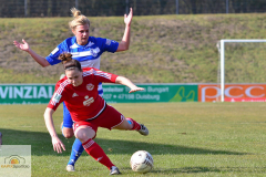 MSV-Duisburg-BW-Hohen-Neuendorf-7