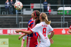 1.-FC-Koeln-Bayern-Muenchen-II-37-von-33