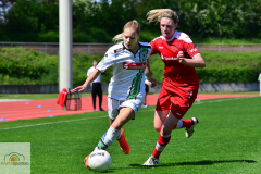 Borussia-Moenchengladbach-TSV-Crailsheim-9_mini
