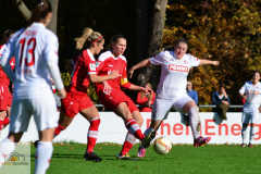 Koeln-Crailsheim-10-von-29_mini