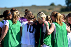 algarve-cup-2012-schweden-usa-13_mini