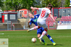 1.-FC-Koeln-Turbine-Potsdam-10_mini