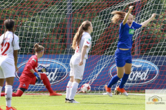 fullsizeoutput_954f_mini