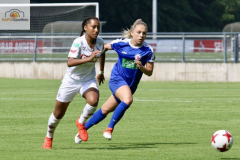 fullsizeoutput_9556_mini