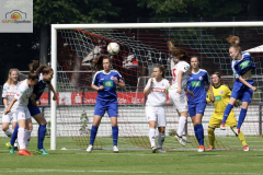 fullsizeoutput_955e_mini