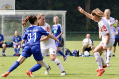 fullsizeoutput_992d_mini