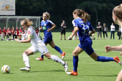 fullsizeoutput_9931_mini