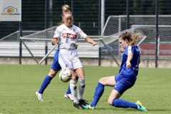 fullsizeoutput_9940_mini