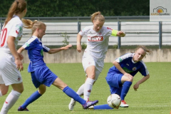 fullsizeoutput_994f_mini