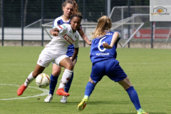 fullsizeoutput_9961_mini