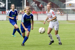 fullsizeoutput_9975_mini