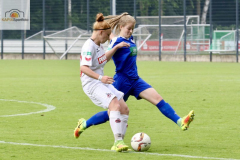 fullsizeoutput_9981_mini