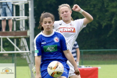 fullsizeoutput_9989_mini