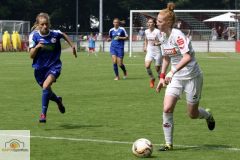 fullsizeoutput_9999_mini