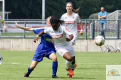 fullsizeoutput_99a0_mini