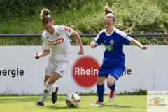 fullsizeoutput_99bd_mini