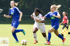 fullsizeoutput_99dc_mini