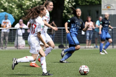 fullsizeoutput_92ae_mini