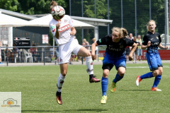 fullsizeoutput_92bb_mini