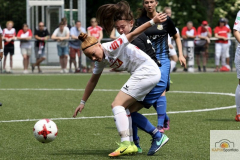 fullsizeoutput_92de_mini