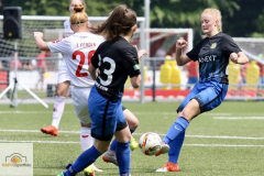 fullsizeoutput_92e6_mini