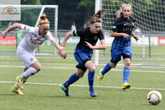 fullsizeoutput_92fd_mini