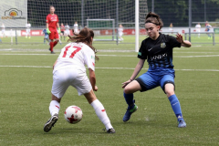 fullsizeoutput_9319_mini