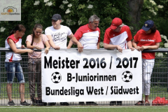 fullsizeoutput_9320_mini