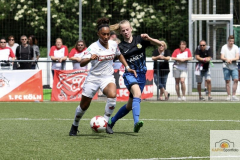 fullsizeoutput_9328_mini