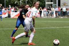 fullsizeoutput_933f_mini