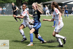 fullsizeoutput_9348_mini