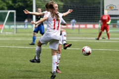 fullsizeoutput_9351_mini