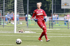 fullsizeoutput_9369_mini