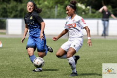 fullsizeoutput_9380_mini