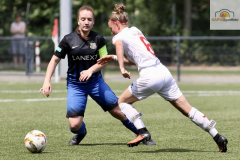 fullsizeoutput_9383_mini