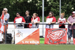 fullsizeoutput_9388_mini