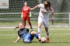 fullsizeoutput_939f_mini