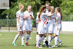 fullsizeoutput_93ee_mini