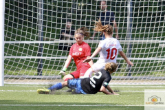 fullsizeoutput_93fc_mini