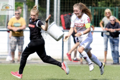 fullsizeoutput_942e_mini